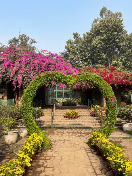 10 Benefits of Vertical Gardening